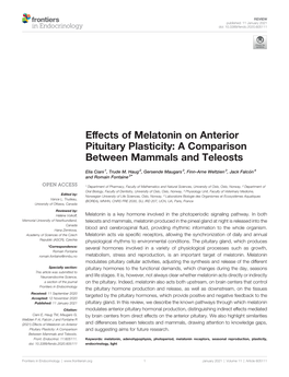 Effects of Melatonin on Anterior Pituitary Plasticity: a Comparison Between Mammals and Teleosts