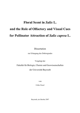 Floral Scent in Salix L. and the Role of Olfactory and Visual Cues for Pollinator Attraction of Salix Caprea L