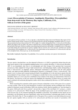 Crustacea: Amphipoda: Hyperiidea: Oxycephalidae) from Deep-Water in the Monterey Bay Region, California, USA, with an Overview of the Genus