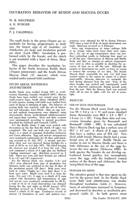 Incubation Behavior of Ruddy and Maccoa Ducks