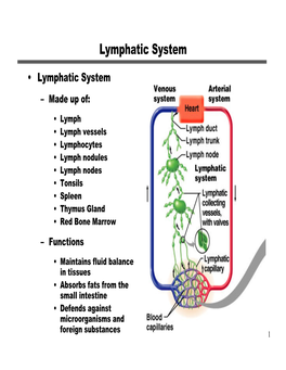 Lymphatic System