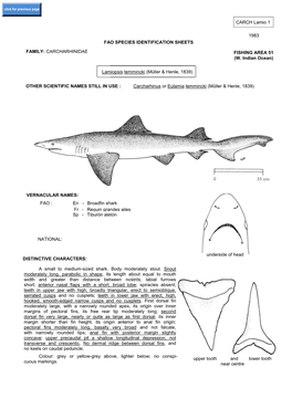 Carcharhinidae Fishing Area 51 (W