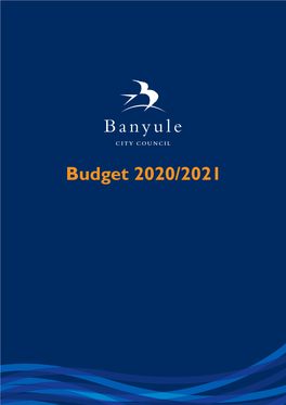 Budget 2020/2021 Contents