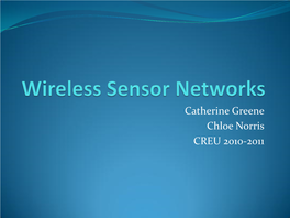 Wireless Sensor Network (WSN)