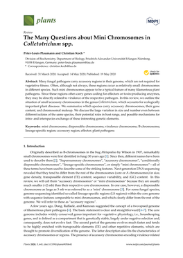 The Many Questions About Mini Chromosomes in Colletotrichum Spp