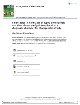 Fiber Cables in Leaf Blades of Typha Domingensis and Their Absence in Typha Elephantina: a Diagnostic Character for Phylogenetic Affinity