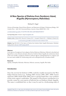 A New Species of Dialictus from Sombrero Island, Anguilla (Hymenoptera, Halictidae)