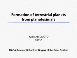 Formation of Terrestrial Planets from Planetesimals