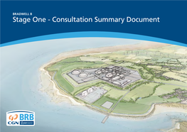 Stage One - Consultation Summary Document Contents