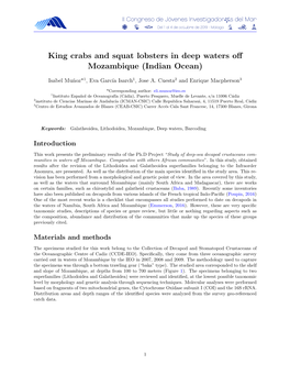 King Crabs and Squat Lobsters in Deep Waters Off Mozambique (Indian