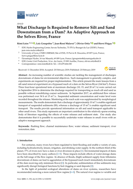 What Discharge Is Required to Remove Silt and Sand Downstream from a Dam? an Adaptive Approach on the Selves River, France