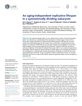 An Aging-Independent Replicative Lifespan in a Symmetrically Dividing