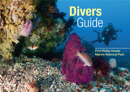 Divers Guide