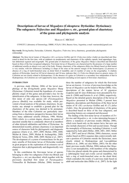 Coleoptera: Dytiscidae: Dytiscinae): the Subgenera Trifurcitus and Megadytes S