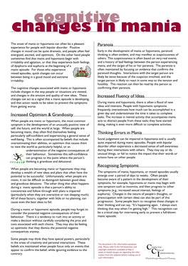 Info-Cognitive Changes in Mania