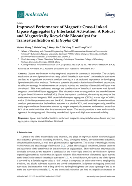 Improved Performance of Magnetic Cross-Linked Lipase Aggregates By