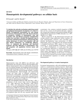 Hematopoietic Developmental Pathways: on Cellular Basis
