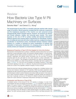 How Bacteria Use Type IV Pili Machinery on Surfaces