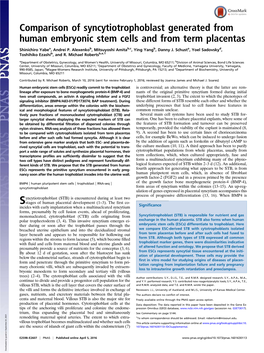 Comparison of Syncytiotrophoblast Generated from Human Embryonic Stem Cells and from Term Placentas