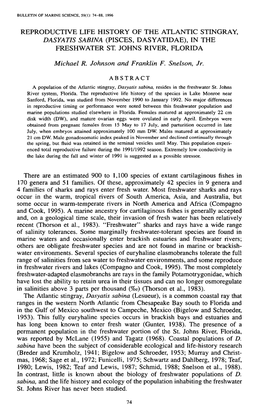 Reproductive Life History of the Atlantic Stingray, <I>Dasyatis