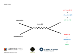 Feynman Diagrams (Pdf)