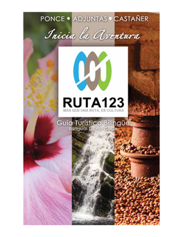 Adjuntas Y La Tourism Route 123