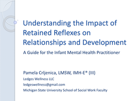 Understanding the Impact of Retained Reflexes on Relationships and Development a Guide for the Infant Mental Health Practitioner