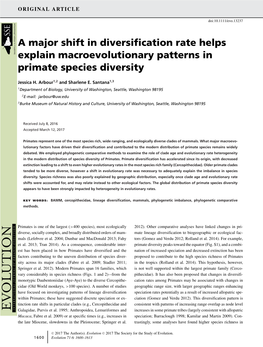 A Major Shift in Diversification Rate Helps Explain Macroevolutionary