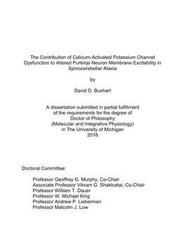 The Contribution of Calcium-Activated Potassium Channel Dysfunction to Altered Purkinje Neuron Membrane Excitability in Spinocerebellar Ataxia