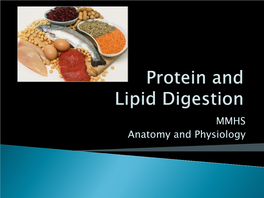 Protein and Lipid Digestion