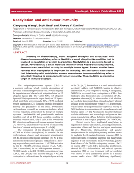 Neddylation and Anti-Tumor Immunity