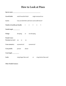 How to Look at Pines