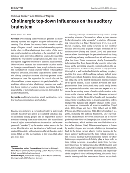 Cholinergic Top-Down Influences on the Auditory Brainstem