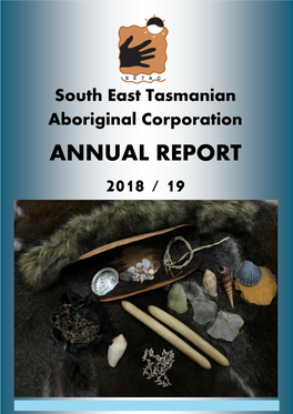 Annual Report 2018 / 19