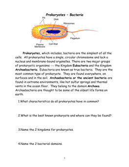 Prokaryotes – Bacteria