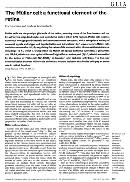 The Muller Cell:A Functional Element of the Retina