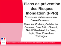 Plans De Prévention Des Risques Inondation (Ppri)