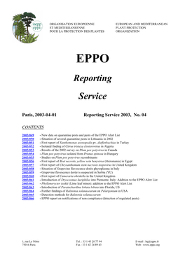 Reporting Service 2003, No