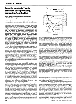 Specific Cytotoxic T Cells Eliminate Cells Producing Neutralizing