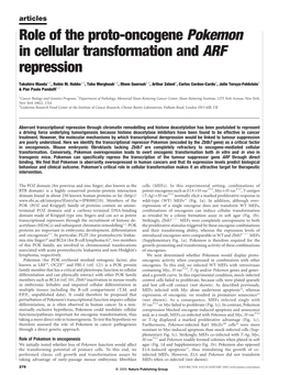 Role of the Proto-Oncogene Pokemon in Cellular Transformation and ARF Repression