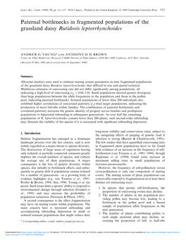 Paternal Bottlenecks in Fragmented Populations of the Grassland Daisy Rutidosis Leptorrhynchoides