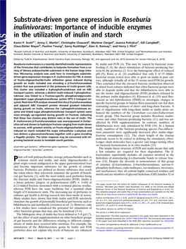 Importance of Inducible Enzymes in the Utilization of Inulin and Starch