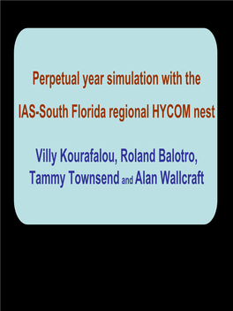 Perpetual Year Simulation with the IAS-South Florida Regional HYCOM Nest