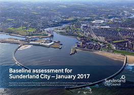 Baseline Assessment for Sunderland City – January 2017