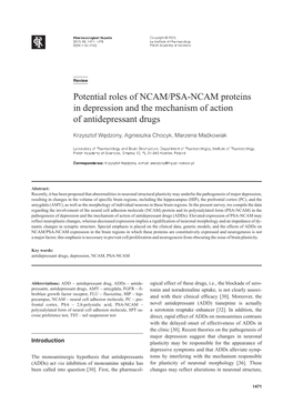 Potential Roles of NCAM/PSA-NCAM Proteins in Depression and The