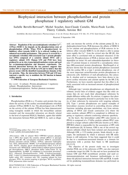 Biophysical Interaction Between Phospholamban and Protein Phosphatase 1 Regulatory Subunit GM