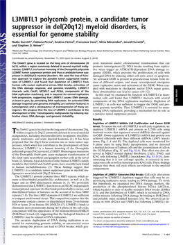 L3MBTL1 Polycomb Protein, a Candidate Tumor Suppressor in Del(20Q12) Myeloid Disorders, Is Essential for Genome Stability