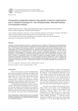 (Cytotype 2N = 42) (Phyllostomidae, Stenodermatinae) in the Brazilian Amazon