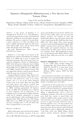 Impatiens Oblongipetala (Balsaminaceae), a New Species from Yunnan, China