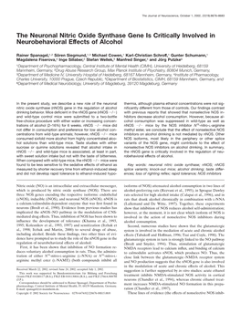 The Neuronal Nitric Oxide Synthase Gene Is Critically Involved in Neurobehavioral Effects of Alcohol